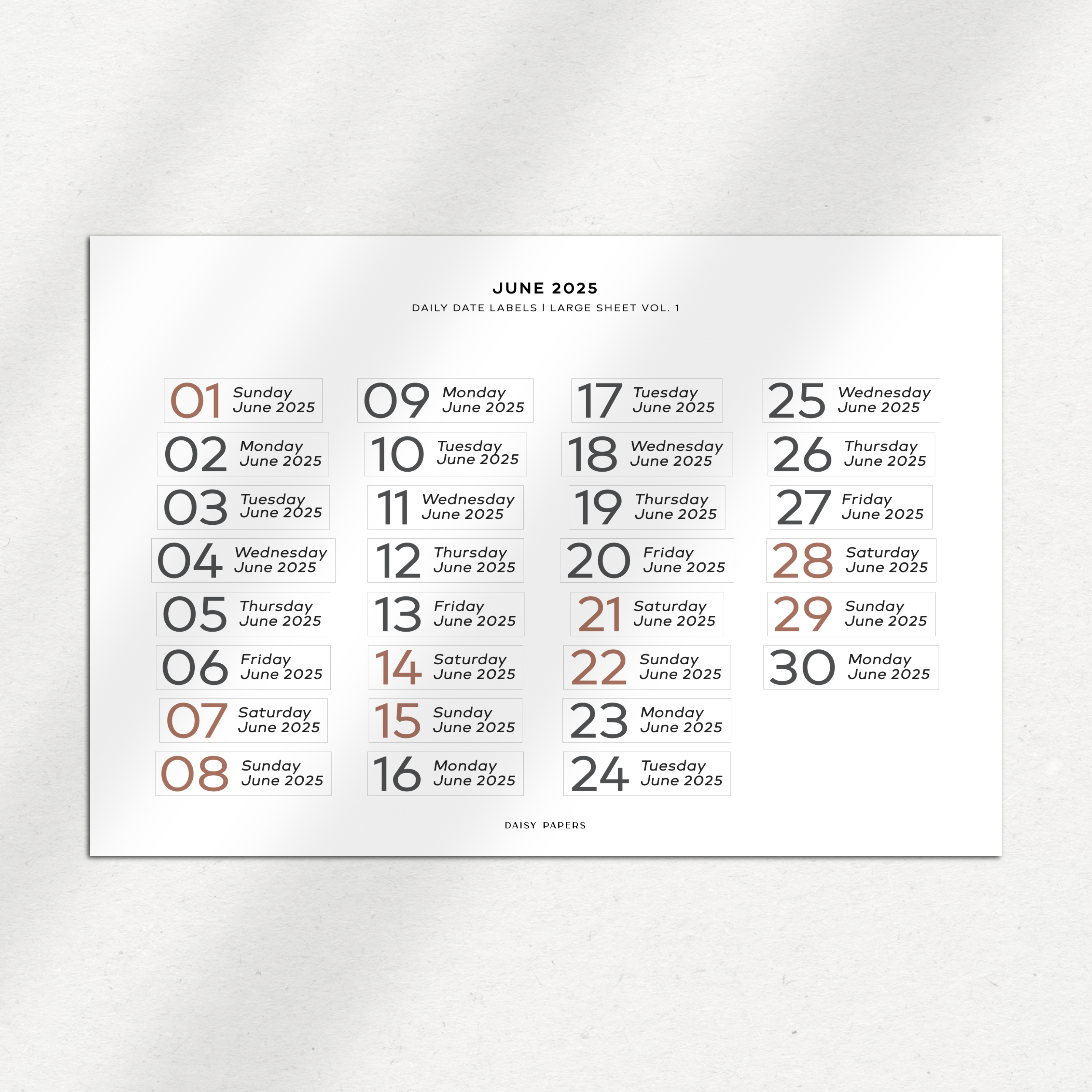 2025 Daily Date Labels - Large Sheet Vol. 1 - January to December