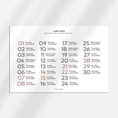 2025 Daily Date Labels - Large Sheet Vol. 1 - January to December